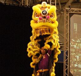 狮王的荣耀在线观看国产,国产动画的荣耀之旅