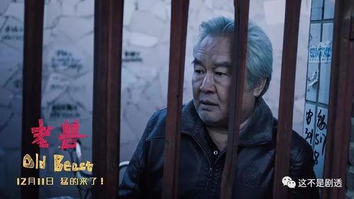 老兽国产电影在线播放,国产电影中的情感与岁月流转