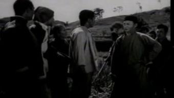 国产片在线老,传承与创新交织的影视新篇章