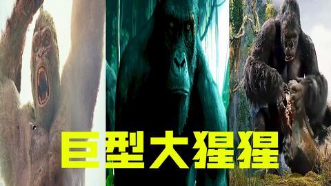 国产电影怪兽在线观看,揭秘神秘生物，在线观看惊悚来袭！