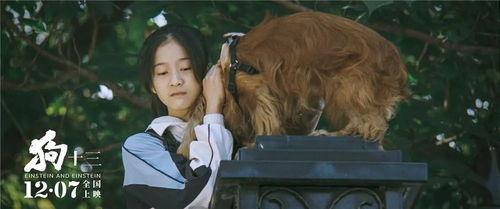 狗十三 在线观看国产,国产温情治愈，回忆中的成长岁月