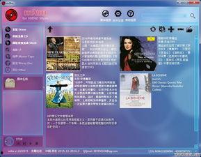 国产一级播放器在线观看,畅享在线观影新体验