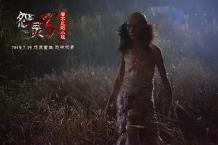 最恐惧国产电影在线观看,揭秘最恐惧国产电影在线观看全攻略