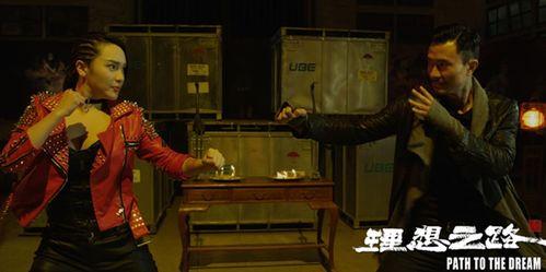 国产版拾遗记在线播放,穿越时空的奇幻之旅